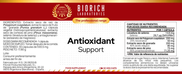 Antioxidant Support