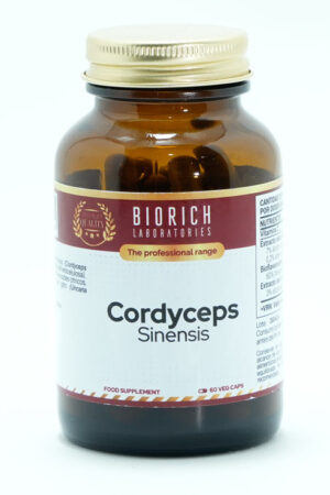 Cordyceps